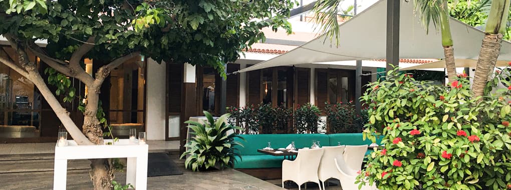 Image of Cafe Aylanto