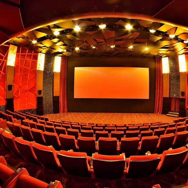Cinegold Plex - Image 4