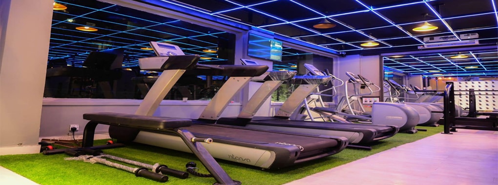 Alpha Fitness
